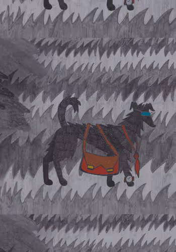 54265023149315807548353305835462115280107802016011024608173740216628614791169