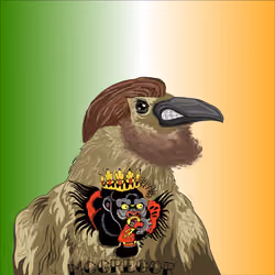#8088 Raven McGregor