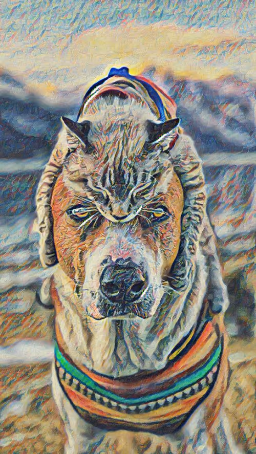 Item #74388721199083954673298778298232823886096642493620239959546428893147449786369 Media