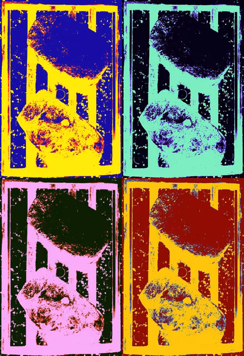 Item #28863644346887406121334048118409569741835316109588449396452983029669042333456 Media