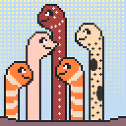 6137356744851174108032033563909863415796931725570703455122954978095339143169