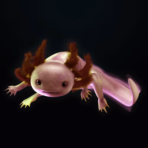 Item #39982110375740153587505644478940195082872270202471884348459982267846521520129 Media