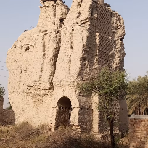 Untitled Collection #184936399