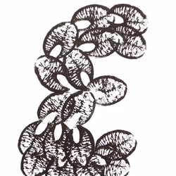 114976545493241493257487804566862386491239486968085247361465236847967166529537