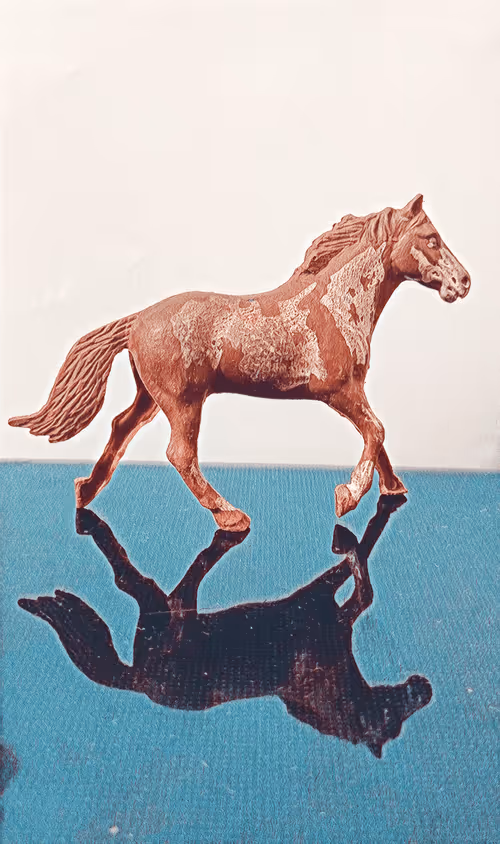 Item #83744598943058006340923454314792856147466055480968082310663932170034292457473 Media