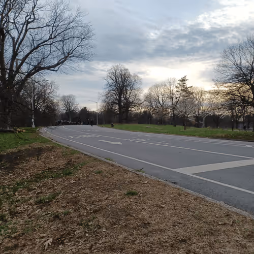 Untitled Collection #252441842