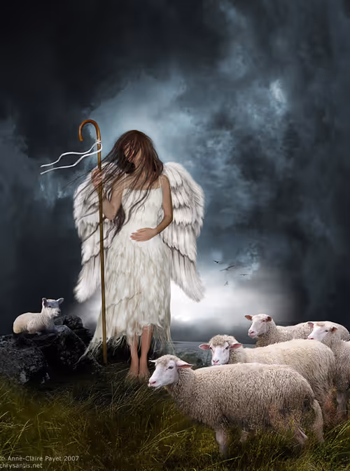 Item #111193218261893121652466074997112448797378704936249251728306630194144600915969 Media