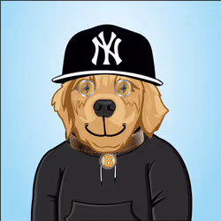 91655410557744893771831586830451060185116832686887291820253913650771141853185