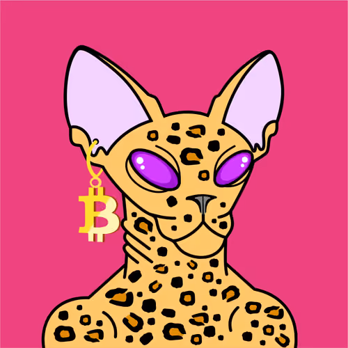 Crypto Sphinx Cat #64