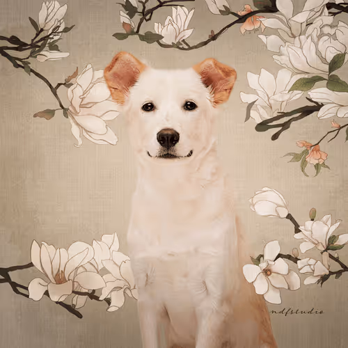 Item #8036610274517614856282005705215780499318604713549687172679363429105716428803 Media