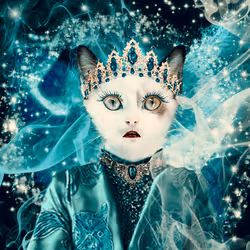 13639591944776306526339440607653531501744888585211814891157140177145896632321