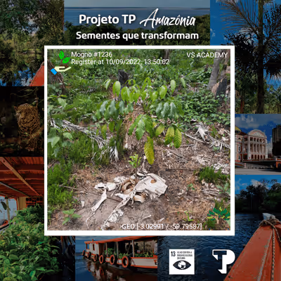 Item #8500196597889277390194123329501889087166328879864934763448348956757220917249 Media