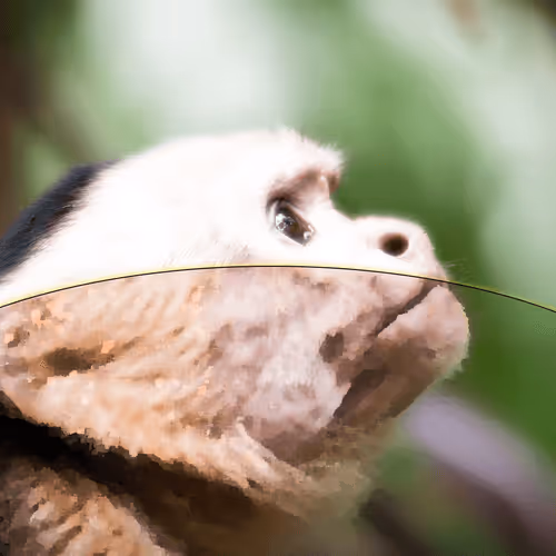 Item #60839276870702459536115980663435026977207856631347422568339333119629592625153 Media