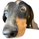 74388183107571848256633446996010033662379072698002169646249461044358783434753