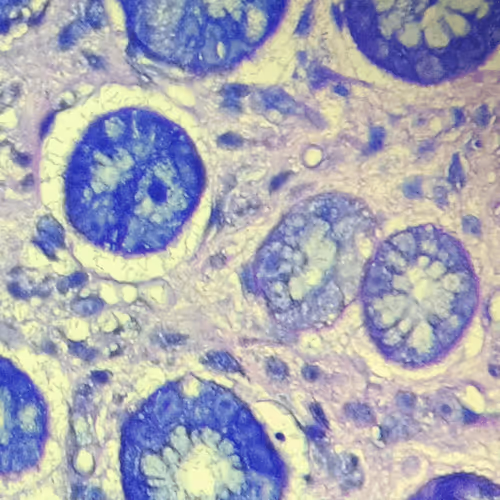 Item #69482328620963259394518629310031225359997111203048028238990119565265985339393 Media