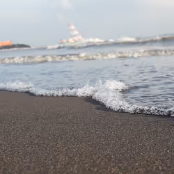 Espace réservé aux médias de l'article