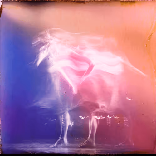 Item #33796692867655414462383843001323965689881083959874354789829880820445887856641 Media