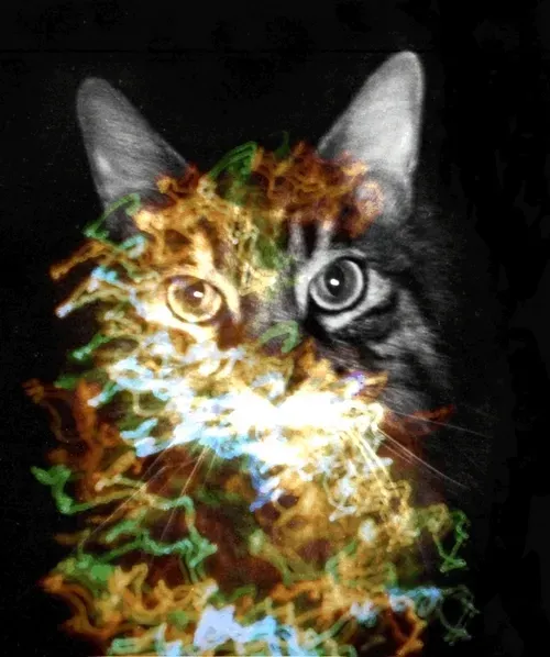 Item #46677297122039031221449977847173365421667821442589389250428357134007387815937 Media