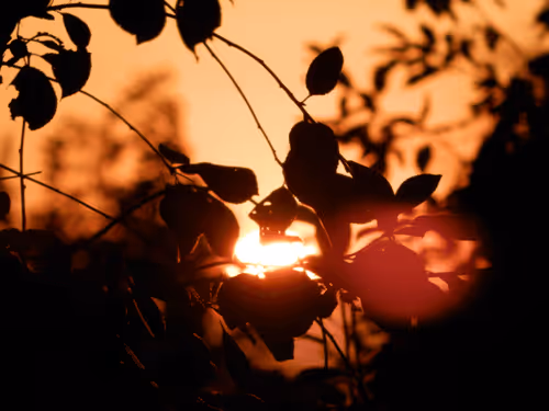 Item #55297223282317197917185791022658401724226762533250968792427961316830745722881 Media