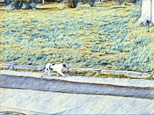 Item #46397680814911453718365897270123246439130732684861044295736256100104876851201 Media