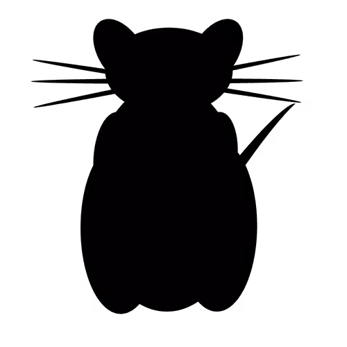 Item #60068791371629059809477428208589637663862546726185528332421853685892312565408 Media