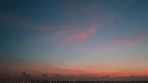 Item #54545336870129037164307986437789858251348704753246412266065009462452389150721 Media