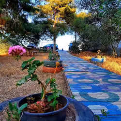 walking path