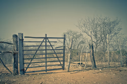 Item #101575229607926485862469706425422547905702674538468073786273286315900621815813 Media