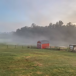 Country Living FOG