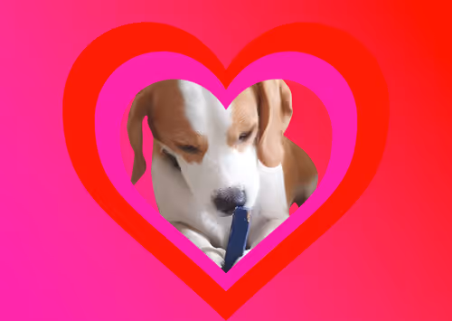 Item #62345621683661683193713543406616418673876020109873424311626099120166479593473 Media