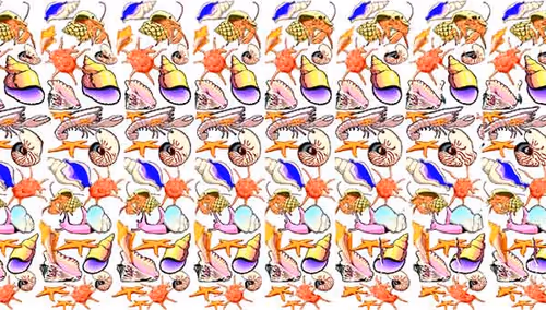 Item #24989702942326065116153480508525724290061186855920669131466917252633869680641 Media