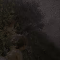 65619165895661363069044970288959513373357015884934024726067174484855907942401