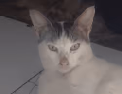 Item #88633637050294638089140439675062106638582692991419448905717063626079067963402 Media