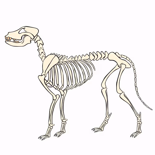 Item #66115251428437251400949335005857765940906863007353817121707627016546127183873 Media