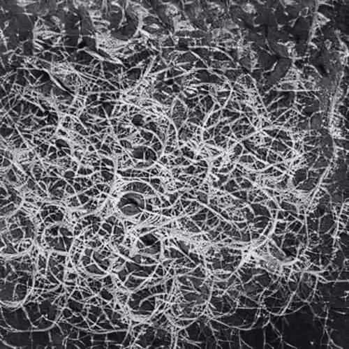 Item #58241160855422744817468407088196322100109565521561100950236906882894273708033 Media