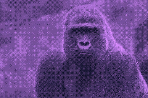 11276162529628641556553056529614973332754405277106184420845744980641219346433