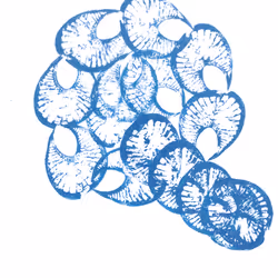 114976545493241493257487804566862386491239486968085247361465236832574003740673