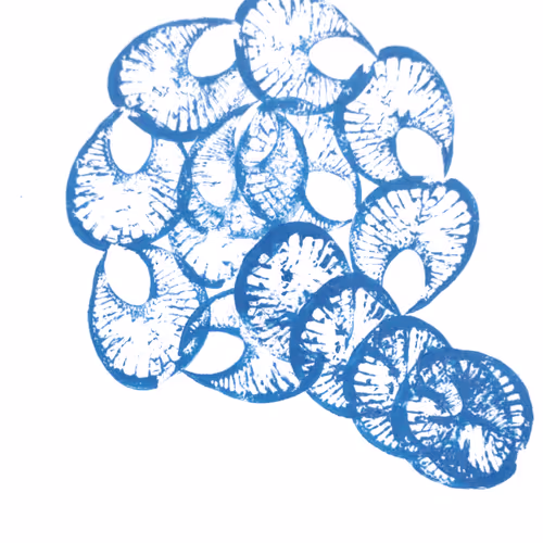 Item #114976545493241493257487804566862386491239486968085247361465236832574003740673 Media