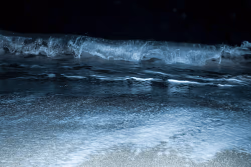 Item #65334289746679534718729475887804441956060191570096093289886828070688354467841 Media