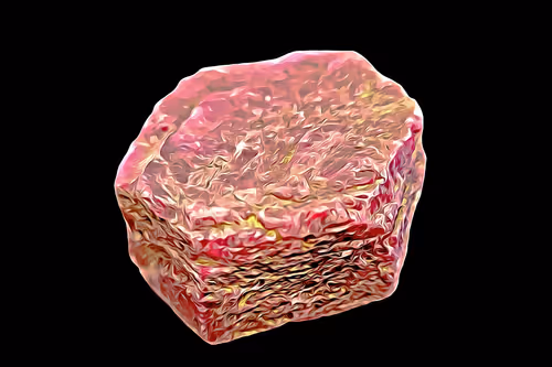 Item #94096604826532313810021462276079008274490893871398392433461387139955606683680 Media