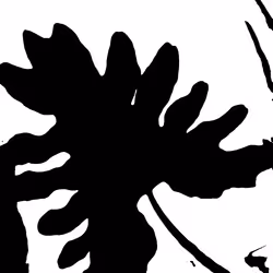 50908449100313806167317955880222183135388850677868571372109492010572354420737