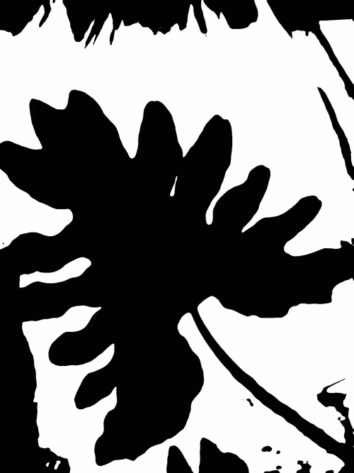 Item #50908449100313806167317955880222183135388850677868571372109492010572354420737 Media