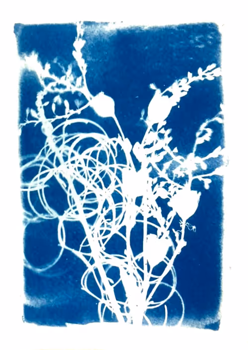 Item #79708962715556691089278777526445721574606898875148265995553784946902719004673 Media