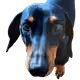 74388183107571848256633446996010033662379072698002169646249461047657318318081