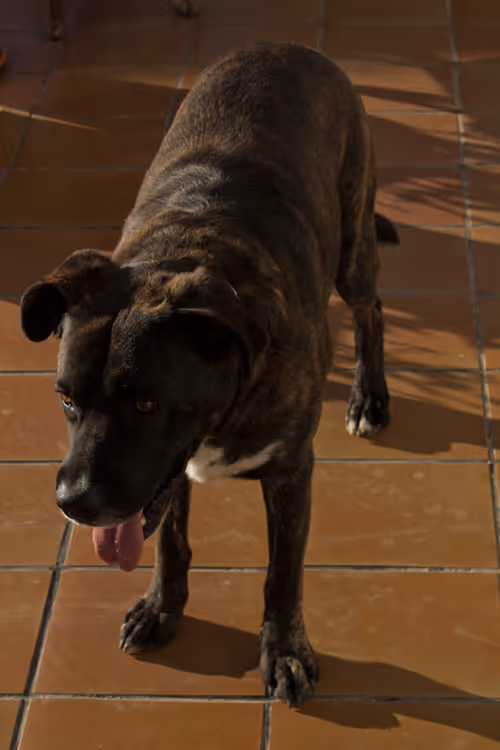 Item #7967281033894542222055828877453032867342209807388350993583448300224241467393 Media