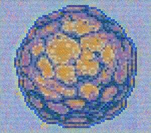 Item #74388721199083954673298778298232823886096642493620239959546428042125449887745 Media