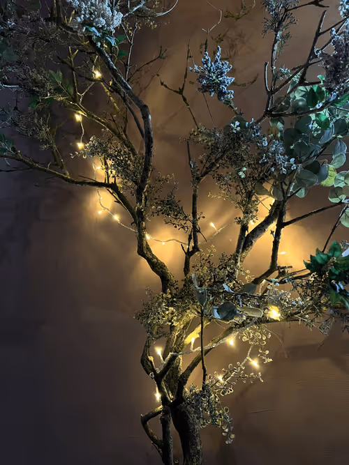 Item #35409078409667596971278228367695759788445142821081829604710600557105726357505 Media