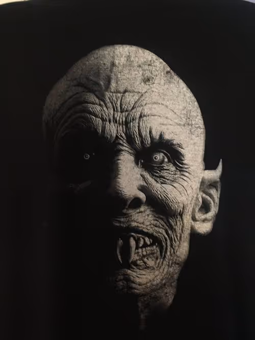 Item #2542456337373591095673421784050481178195466961348610354945535962930086936676 Media