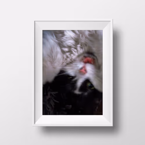 Item #11740799061752435596264574638885618711894056306747773100283827720369425350657 Media