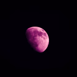 Moonlit #5 Pinkish